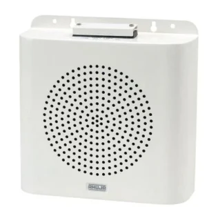 Ahuja BS 6082T Wall/Ceiling Speaker